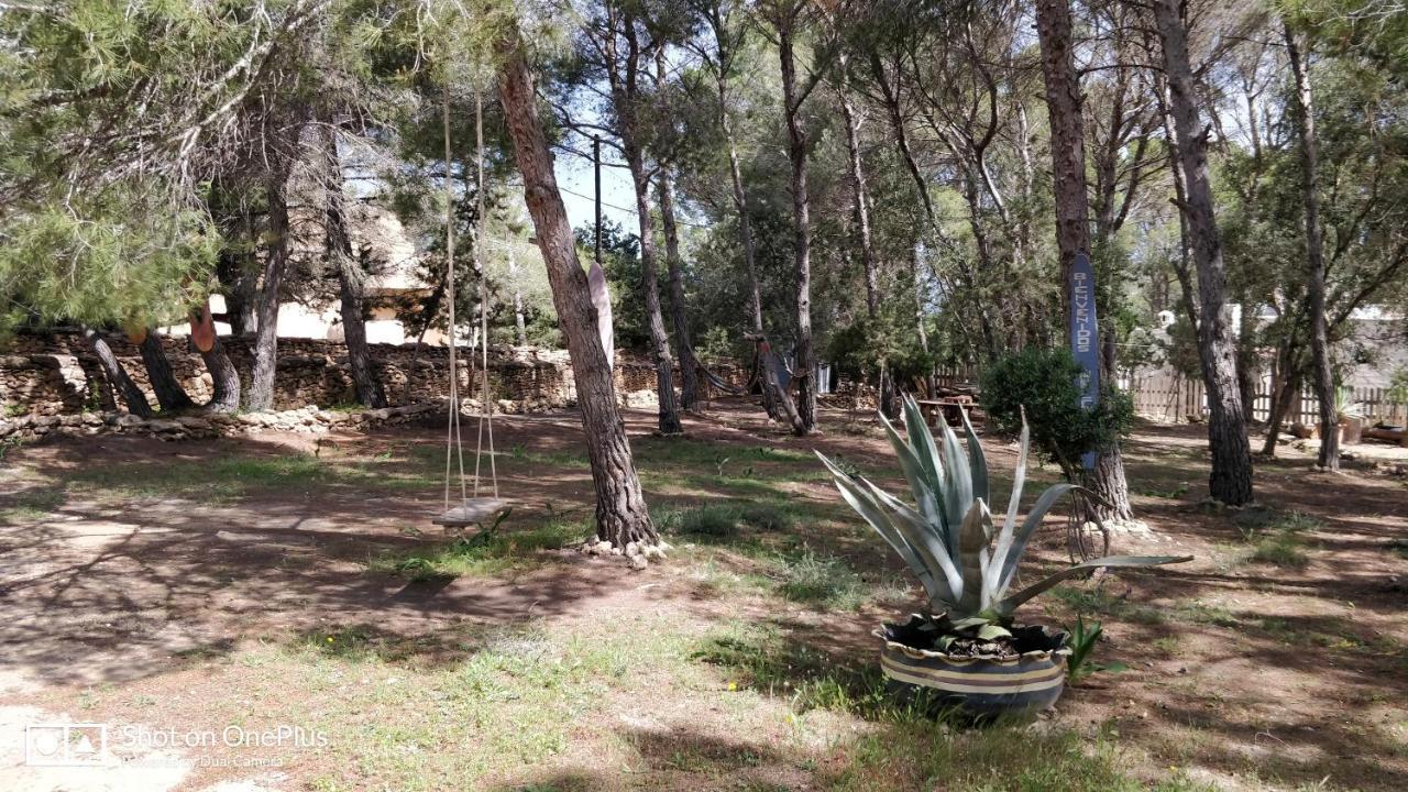 Casa Beja Vila San Francisco Javier Exterior foto